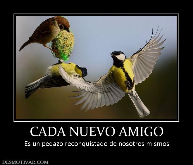 CADA NUEVO AMIGO Es un pedazo reconquistado de nosotros mismos