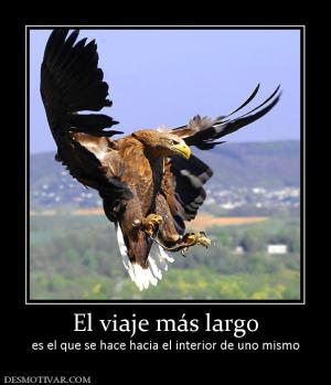 El viaje más largo es el que se hace hacia el interior de uno mismo