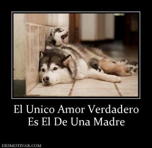 El Unico Amor Verdadero Es El De Una Madre