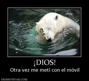 ¡DIOS! Otra vez me metí con el móvil