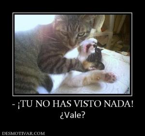 - ¡TU NO HAS VISTO NADA! ¿Vale?
