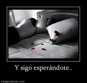 Y sigo esperándote..