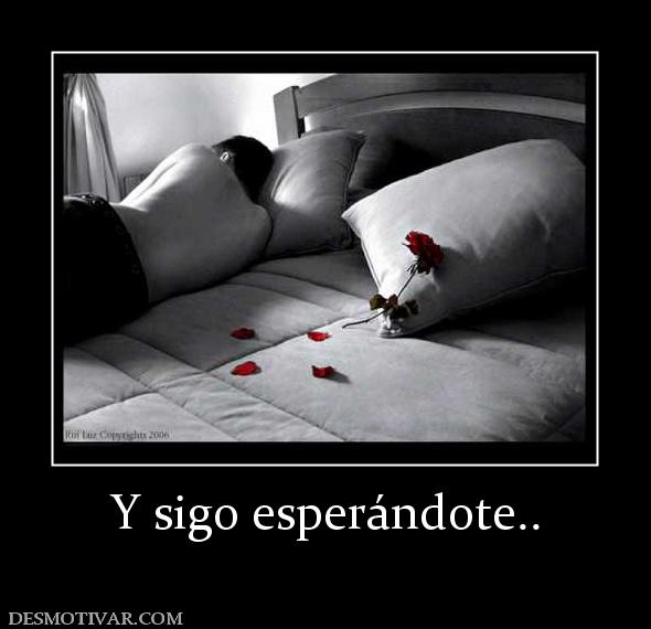 Y sigo esperándote..
