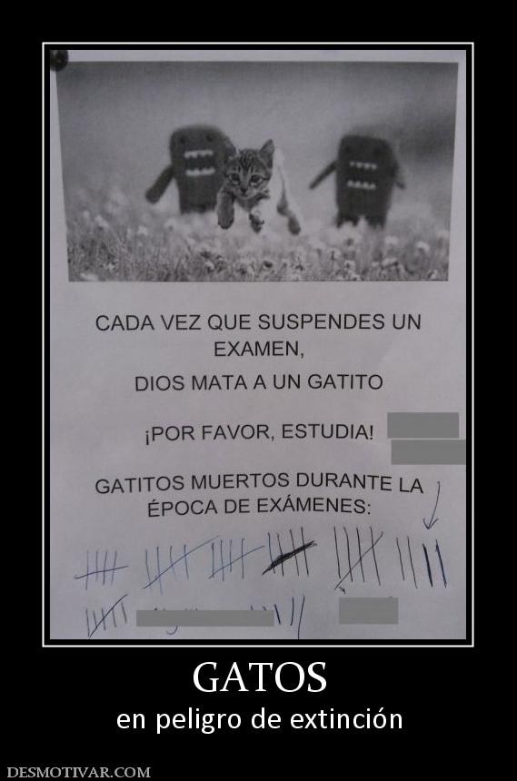 GATOS en peligro de extinción