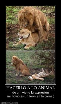 HACERLO A LO ANIMAL de ahí viene la expresión mi novio es un león en la cama )