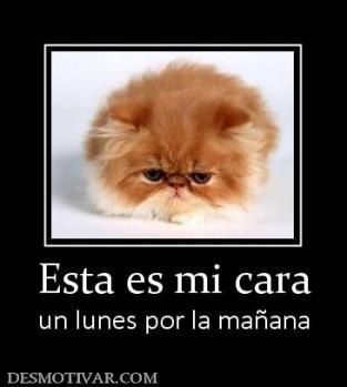 Esta es mi cara un lunes por la mañana