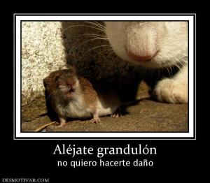 Aléjate grandulón no quiero hacerte daño