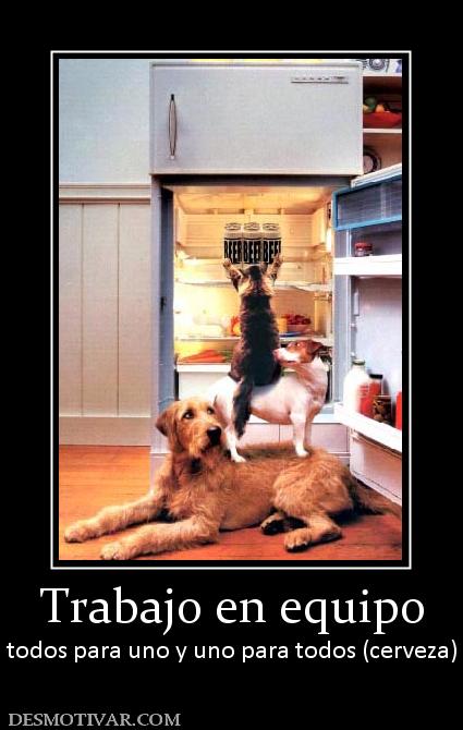 Trabajo en equipo todos para uno y uno para todos (cerveza)