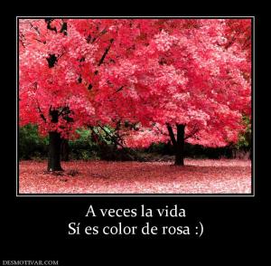 A veces la vida Sí es color de rosa :)
