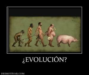 ¿EVOLUCIÓN?