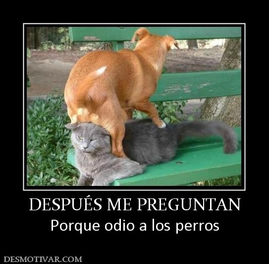 DESPUÉS ME PREGUNTAN Porque odio a los perros