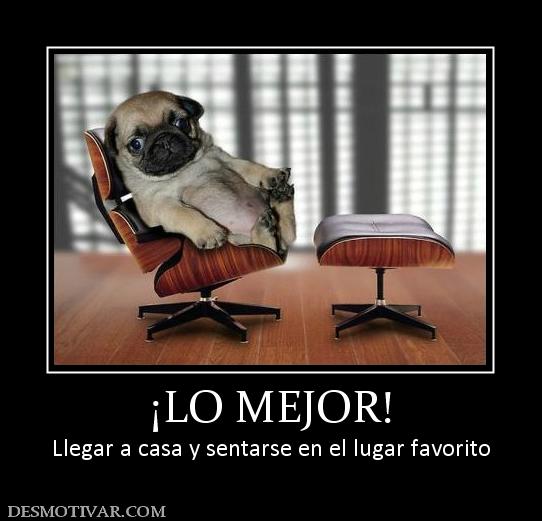 ¡LO MEJOR! Llegar a casa y sentarse en el lugar favorito