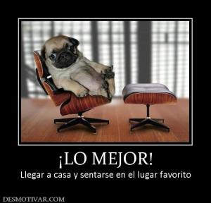 ¡LO MEJOR! Llegar a casa y sentarse en el lugar favorito