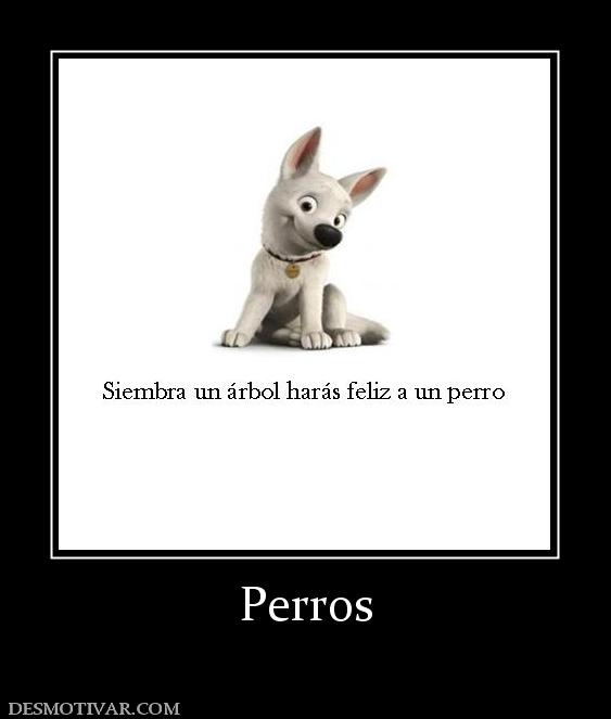 Perros