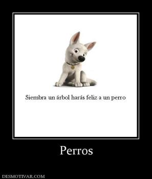 Perros