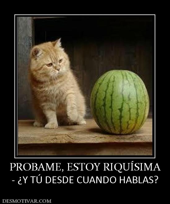 PROBAME, ESTOY RIQUÍSIMA - ¿Y TÚ DESDE CUANDO HABLAS?