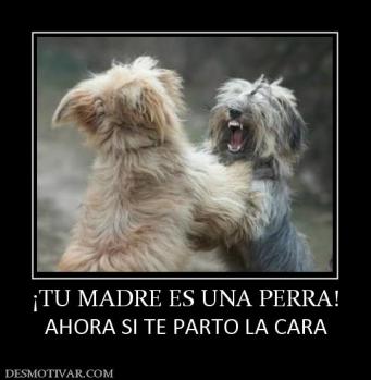 ¡TU MADRE ES UNA PERRA! AHORA SI TE PARTO LA CARA