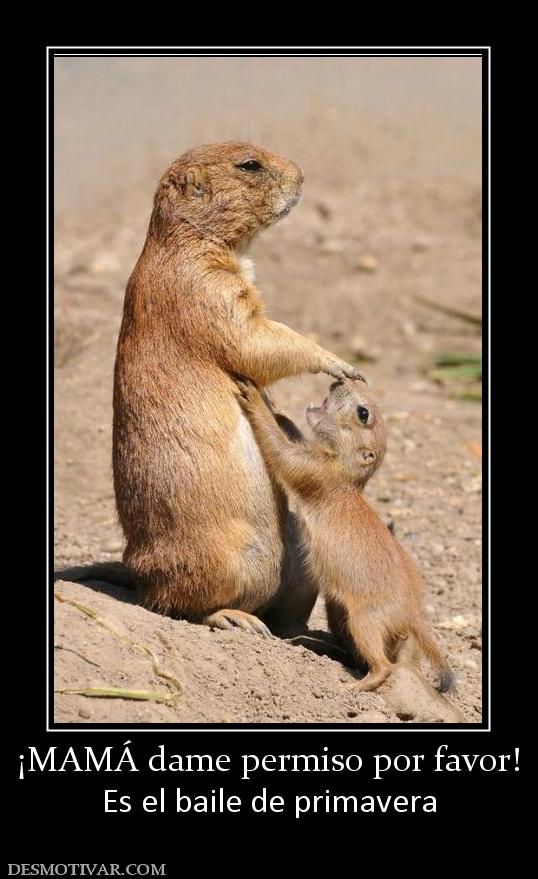 ¡MAMÁ dame permiso por favor! Es el baile de primavera