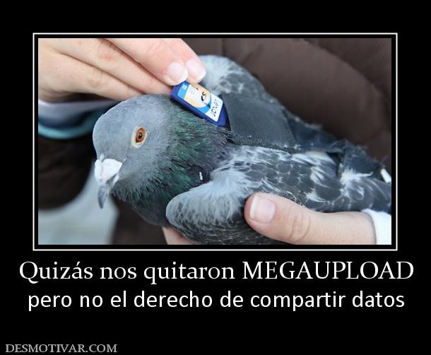 Quizás nos quitaron MEGAUPLOAD pero no el derecho de compartir datos