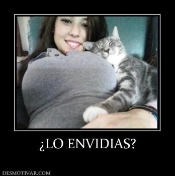 ¿LO ENVIDIAS?