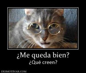 ¿Me queda bien? ¿Qué creen?