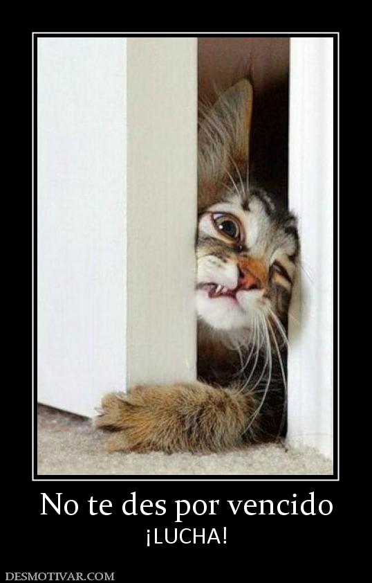 No te des por vencido ¡LUCHA!