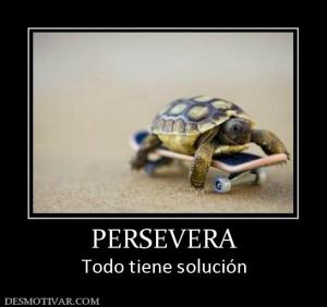 PERSEVERA Todo tiene solución