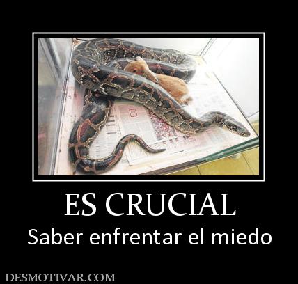 ES CRUCIAL Saber enfrentar el miedo