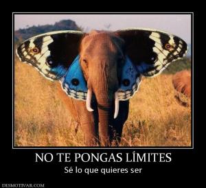 NO TE PONGAS LÍMITES Sé lo que quieres ser