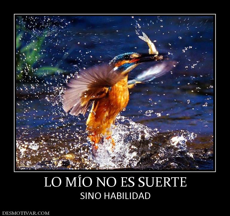 LO MÍO NO ES SUERTE SINO HABILIDAD