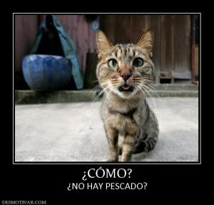 ¿CÓMO? ¿NO HAY PESCADO?