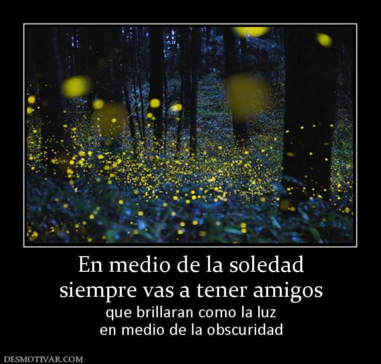 En medio de la soledad siempre vas a tener amigos que brillaran como la luz en medio de la obscuridad