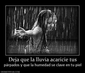 Deja que la lluvia acaricie tus párpados y que la humedad se clave en tu piel