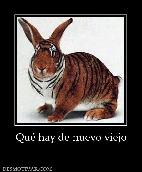 Qué hay de nuevo viejo