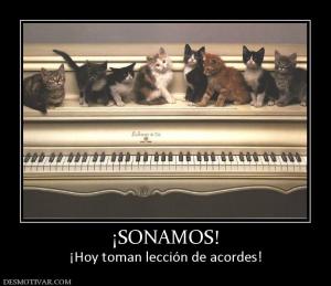 ¡SONAMOS! ¡Hoy toman lección de acordes!