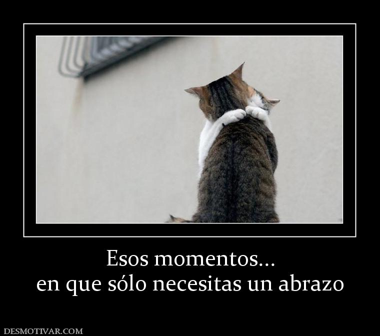 Esos momentos... en que sólo necesitas un abrazo