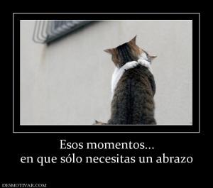 Esos momentos... en que sólo necesitas un abrazo