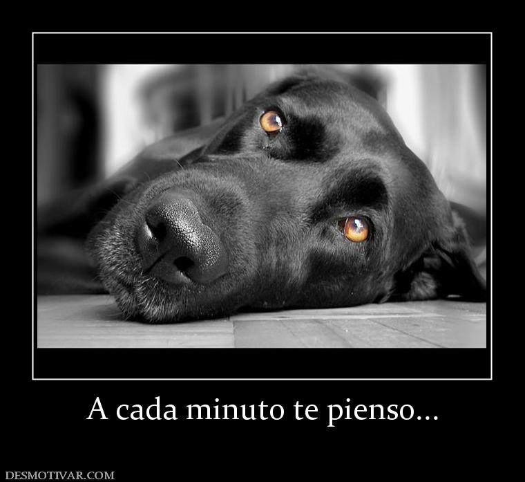 A cada minuto te pienso...