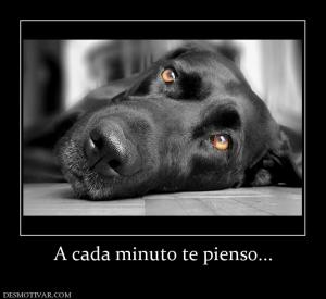 A cada minuto te pienso...