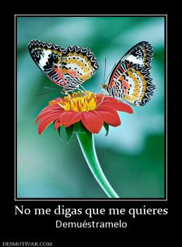No me digas que me quieres Demuéstramelo