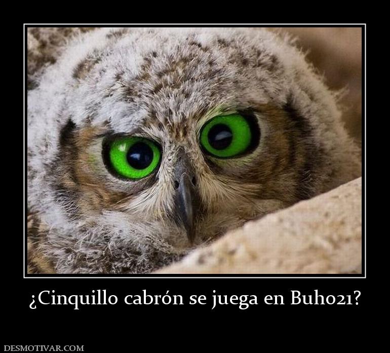 ¿Cinquillo cabrón se juega en Buho21?