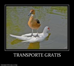 TRANSPORTE GRATIS