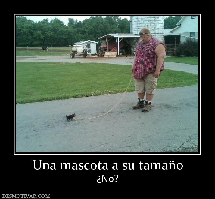 Una mascota a su tamaño ¿No?