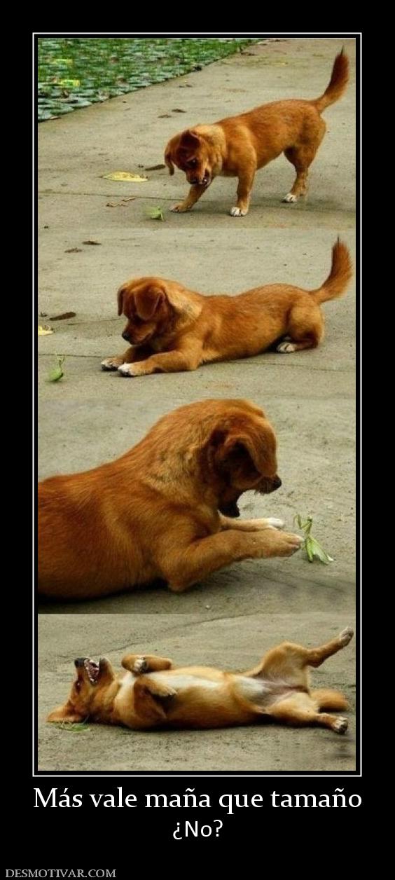 Más vale maña que tamaño ¿No?