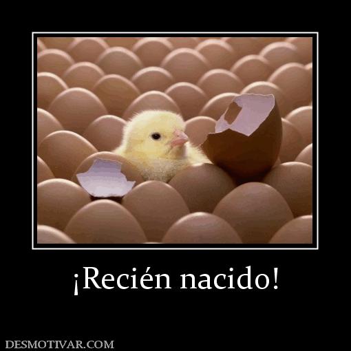 ¡Recién nacido!