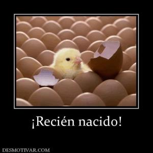 ¡Recién nacido!