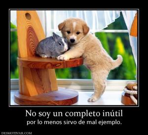 No soy un completo inútil por lo menos sirvo de mal ejemplo.