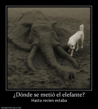 ¿Dónde se metió el elefante? Hasta recien estaba