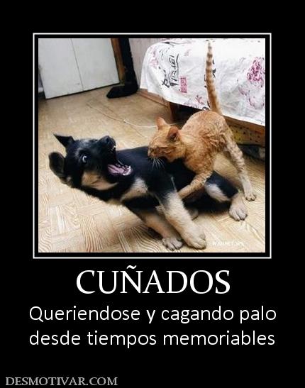 CUÑADOS Queriendose y cagando palo desde tiempos memoriables