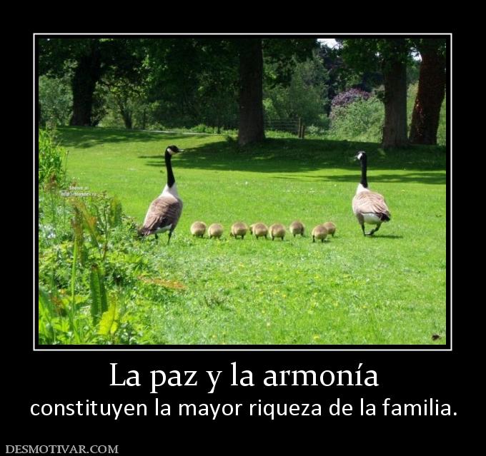La paz y la armonía constituyen la mayor riqueza de la familia.